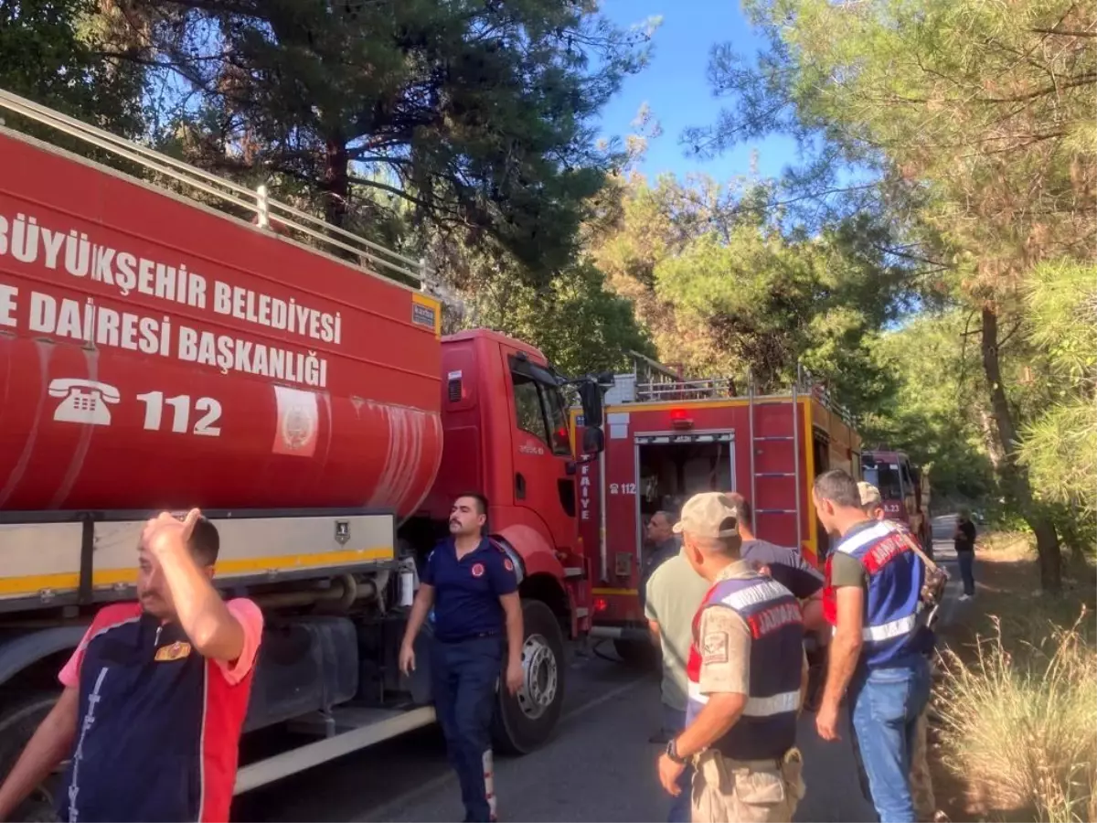 Hatay\'ın Erzin ilçesinde çıkan orman yangını büyümeden söndürüldü