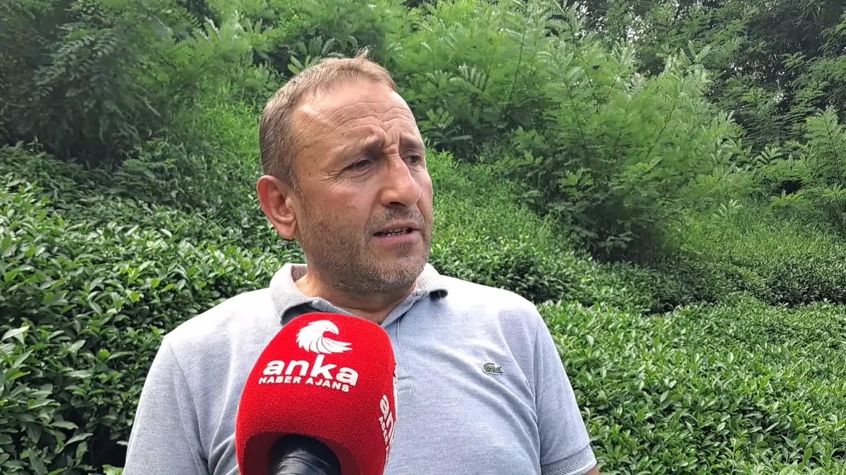 Hopa Ziraat Odası Başkanı Olcay Muti: "60 Yaşındaki Üreticimiz Makas Sallayıp Çay Topluyorsa Bunun İsmi Geçim Sıkıntısıdır"