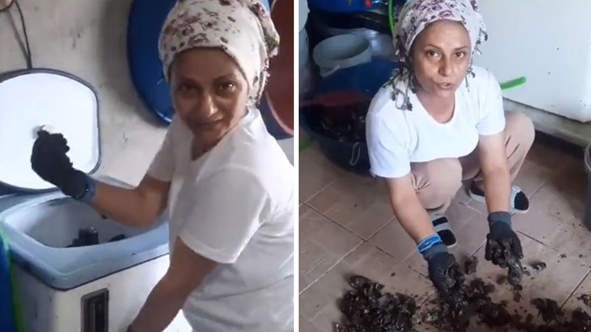 Bu videoyu izleyenler "Bir daha midye yemem" demekten kendini alamıyor 
