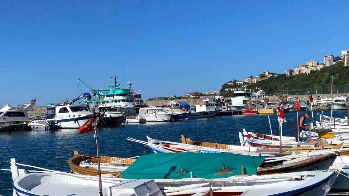 Kozlu Su Ürünleri Kooperatifi Başkanı: Balık Fiyatları Düşecek