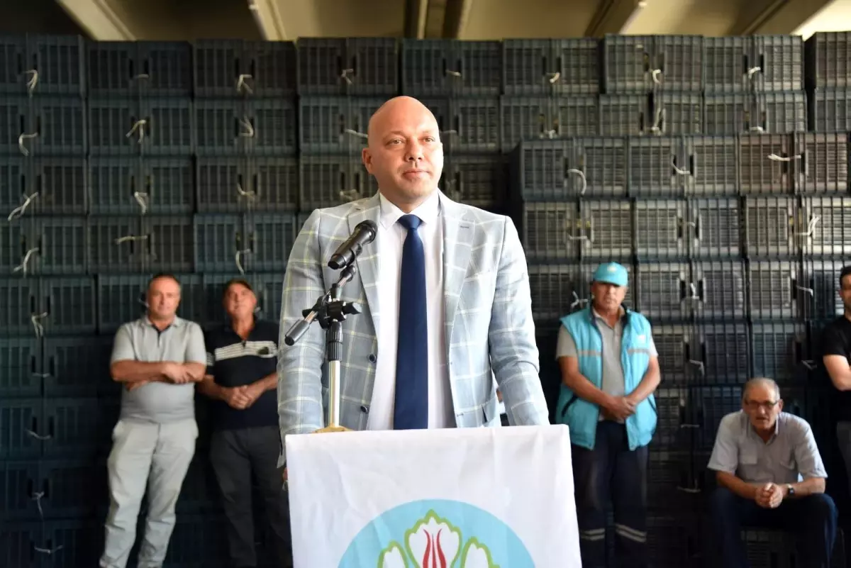 Manisa Büyükşehir Belediyesi, Meyve Üreticilerine Kasa Desteği Projesini Başlattı