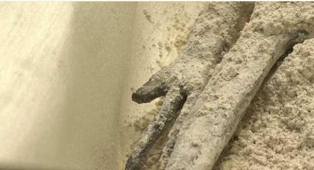 Meksika Kongresi 1000 yaşında oldukları tahmin edilen uzaylılara ait cesetleri sergiledi