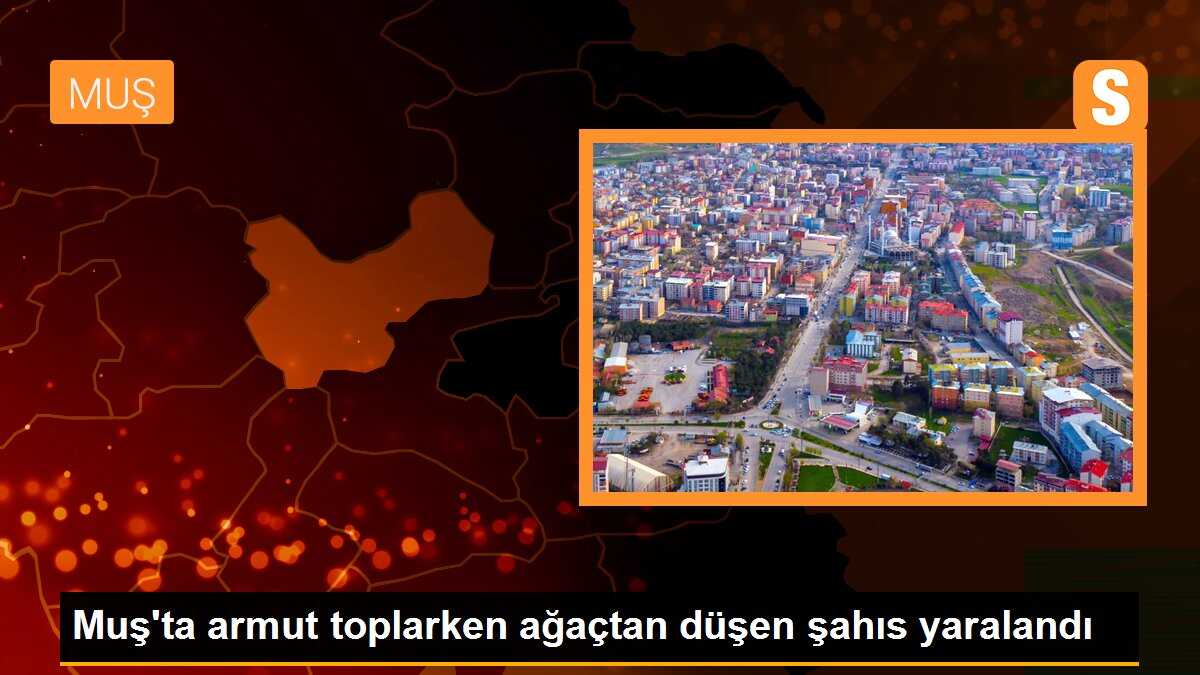 Muş\'ta armut toplarken ağaçtan düşen şahıs yaralandı