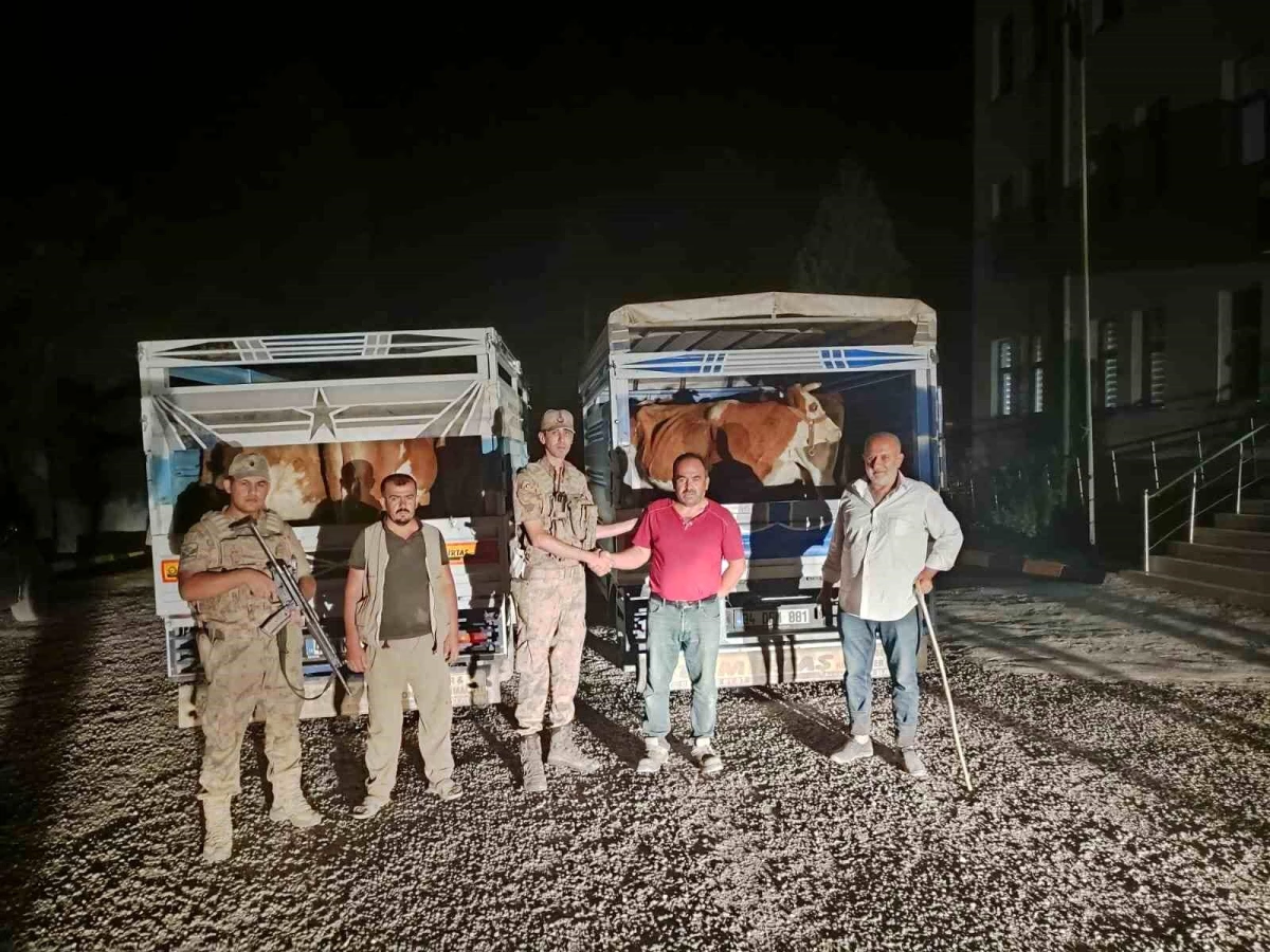 Siirt\'te Çalınan Hayvanları Satmaya Çalışan Şahıs Tutuklandı