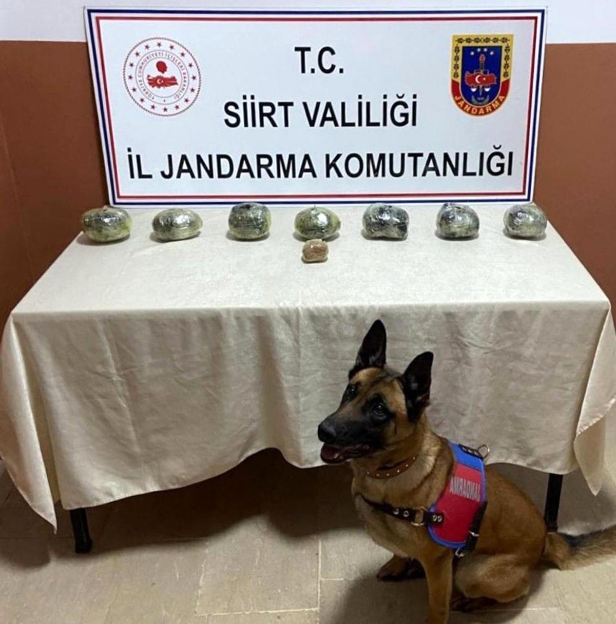 Siirt\'te peynir bidonunda uyuşturucu ele geçirildi, 4 şüpheli tutuklandı