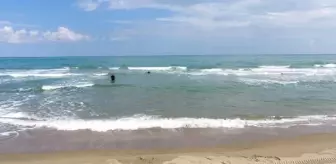 Sinop'ta Kaybolan Genç Denizde Ölü Bulundu