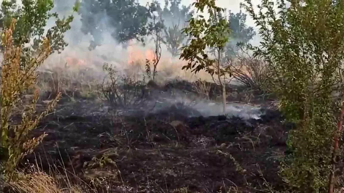 Bitlis\'te meyve bahçesinde çıkan örtü yangını kontrol altına alındı