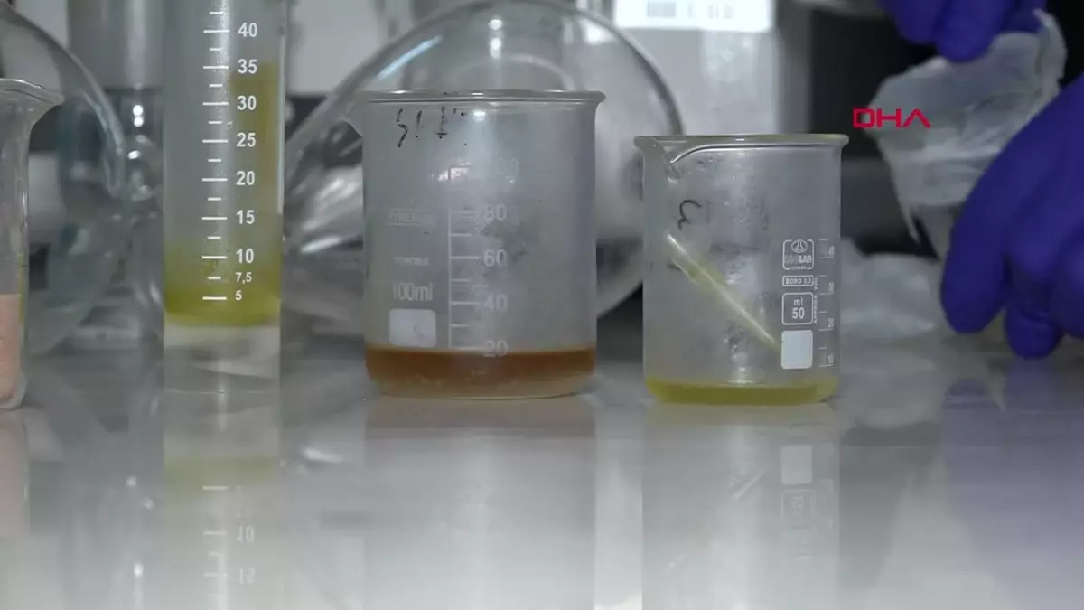 Turunçgiller Atıklarından Limonen ve Pektin Üretildi