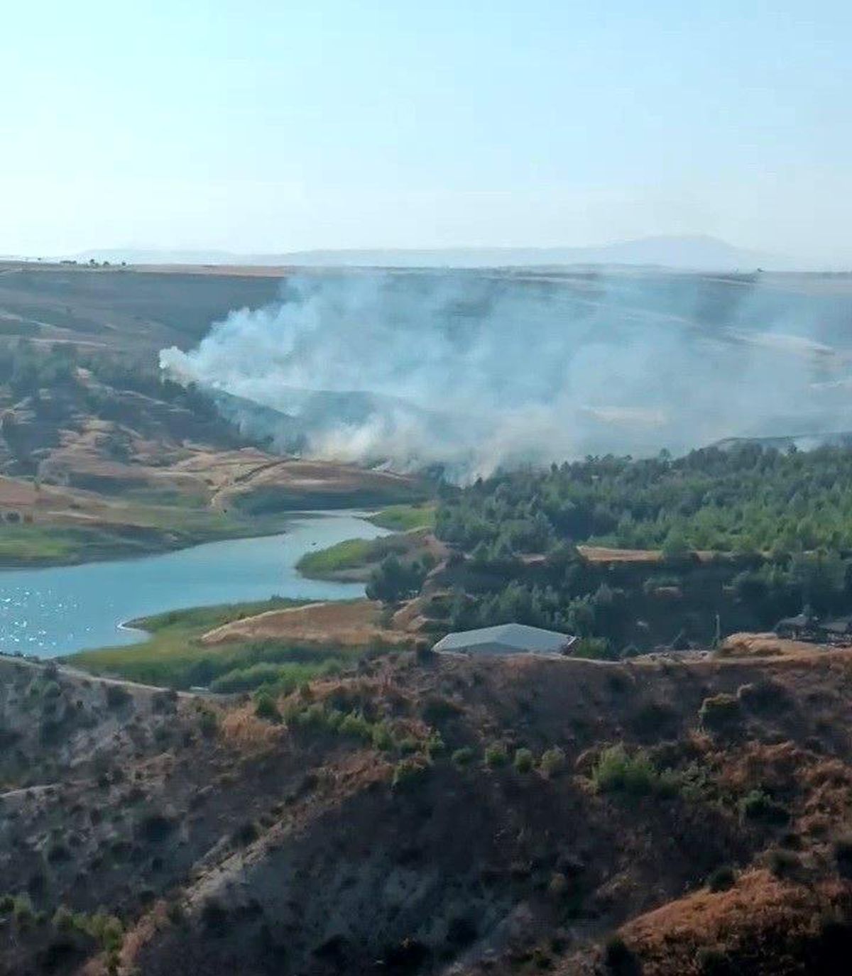 Adıyaman\'da Anız Yangınında Çok Sayıda Ağaç Zarar Gördü