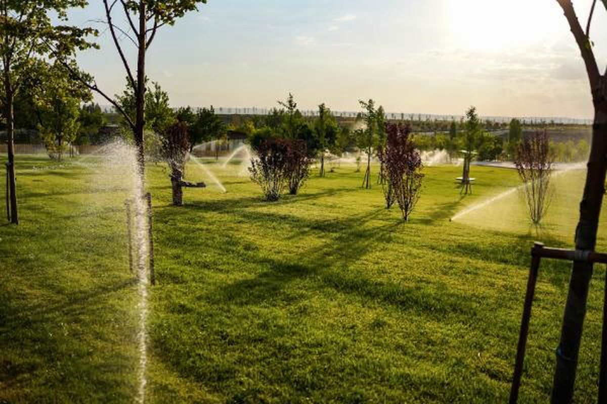 Ankara\'da Atıl Arazi Dev Tarım Kampüsüne Dönüştürüldü