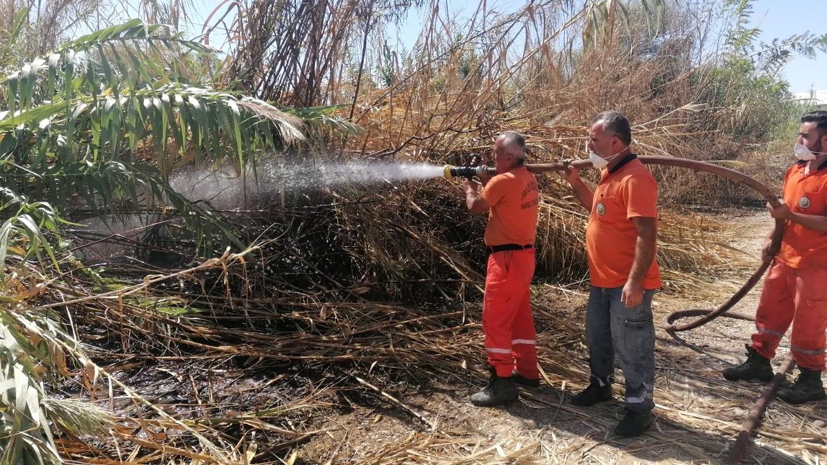 Manavgat\'ta Sazlık Alanında Çıkan Yangın Kontrol Altına Alındı
