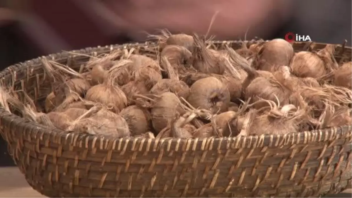 Safranbolu Safranı, AB Komisyonu tarafından baharat kategorisinde tescillenen ilk ürün oldu