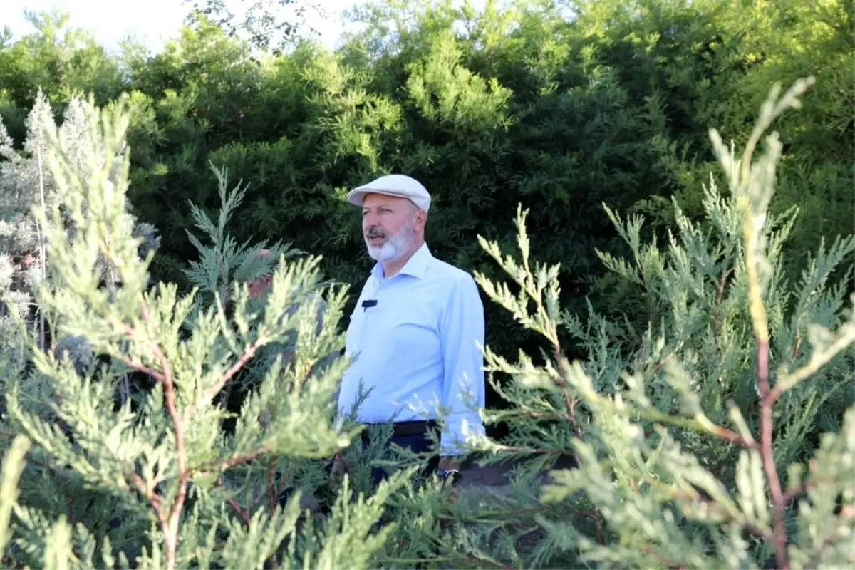 Kocasinan Belediyesi, Türkiye\'nin en gelişmiş fidanlığında ağaç dikim sezonuna hazırlanıyor