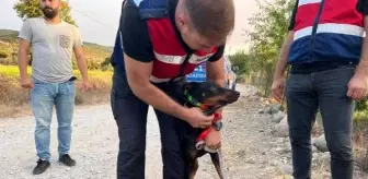 Emekli ekonomistin kaybolmasıyla ilgili arama çalışmaları devam ediyor