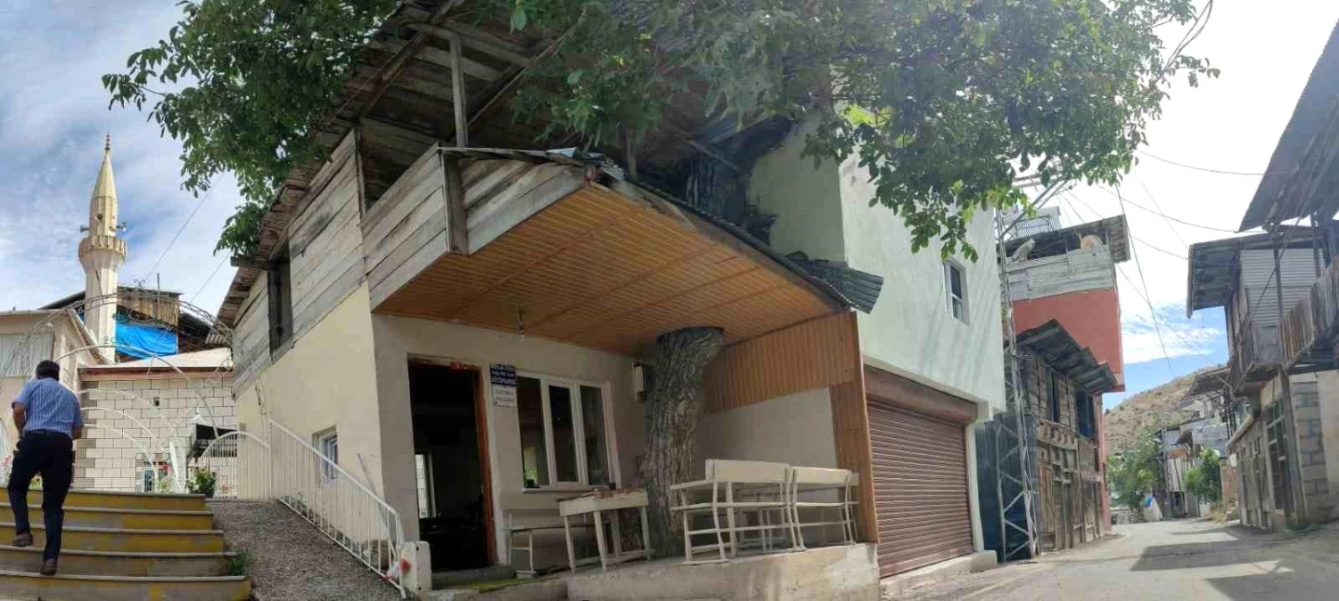 Erzurum\'da asırlık ceviz ağacı köy kütüphanesine gölge oluyor