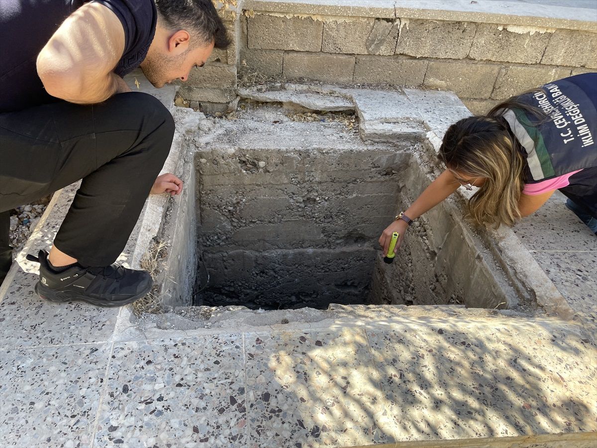 Gaziantep\'te ağır hasarlı binanın su kuyusuna düşen kedi yavrusu kurtarıldı