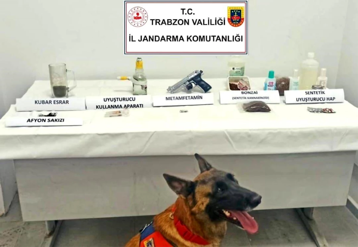 Trabzon\'da Jandarma Operasyonunda Uyuşturucu Maddeler Ele Geçirildi