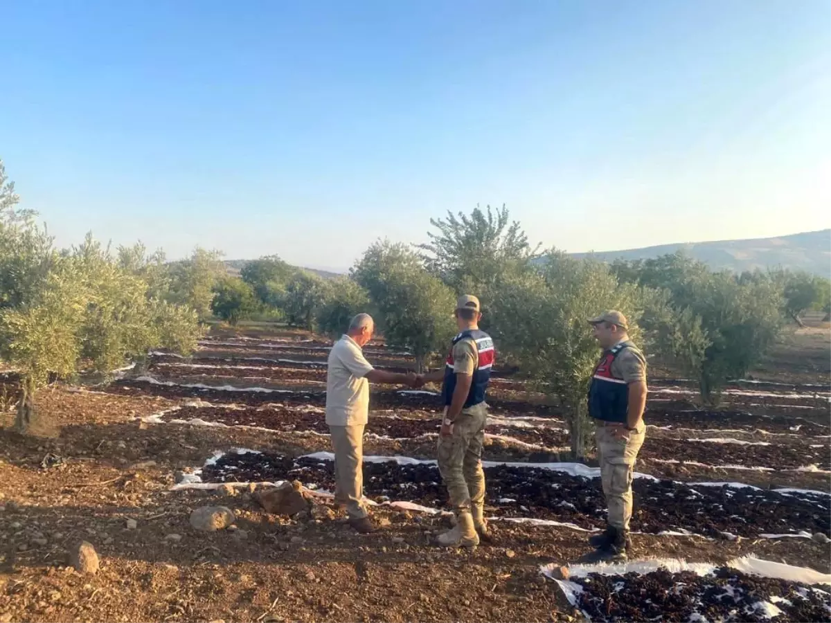 Kilis\'te Üzüm Hırsızlığına Karşı Jandarma Önlemleri