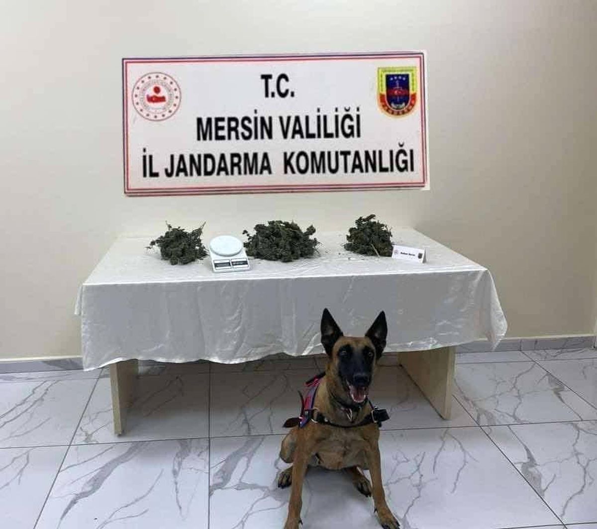Mersin\'de Uyuşturucu Operasyonunda 1 Kilodan Fazla Esrar ve Skunk Ele Geçirildi