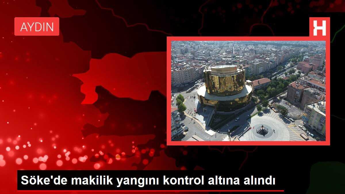 Söke'de makilik yangını kontrol altına alındı