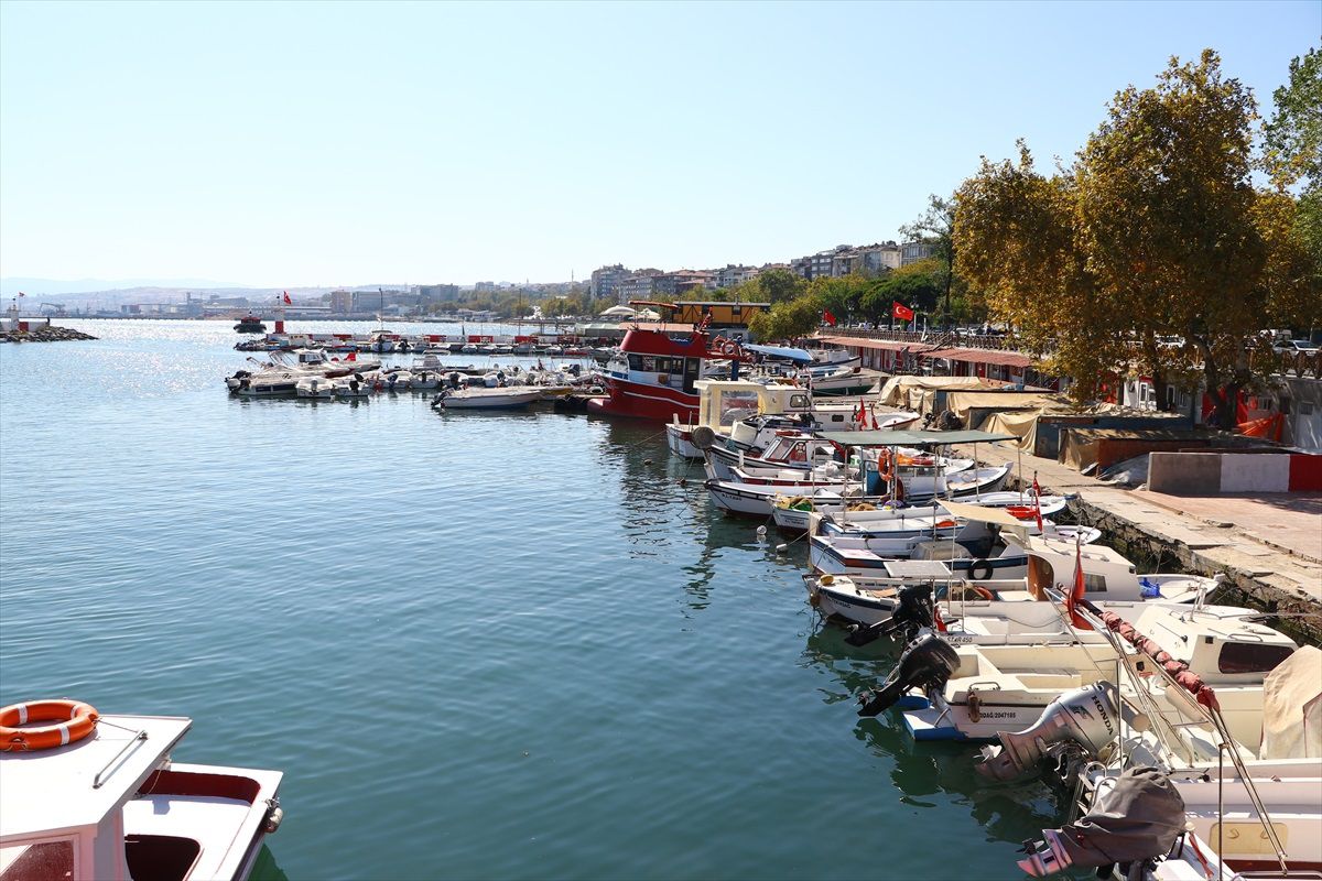 Tekirdağlı balıkçılar bol hamsi avıyla limana dönüyor