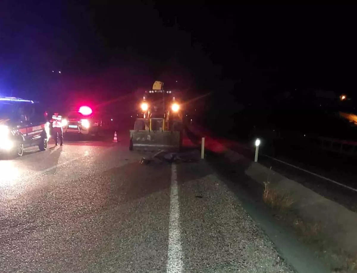 Konya\'da sahipsiz eşek kazaya neden oldu