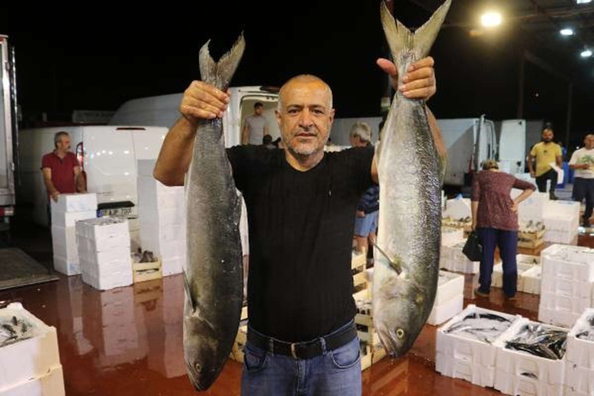Antalya Balık Hali\'nde Balık Sezonu Başladı