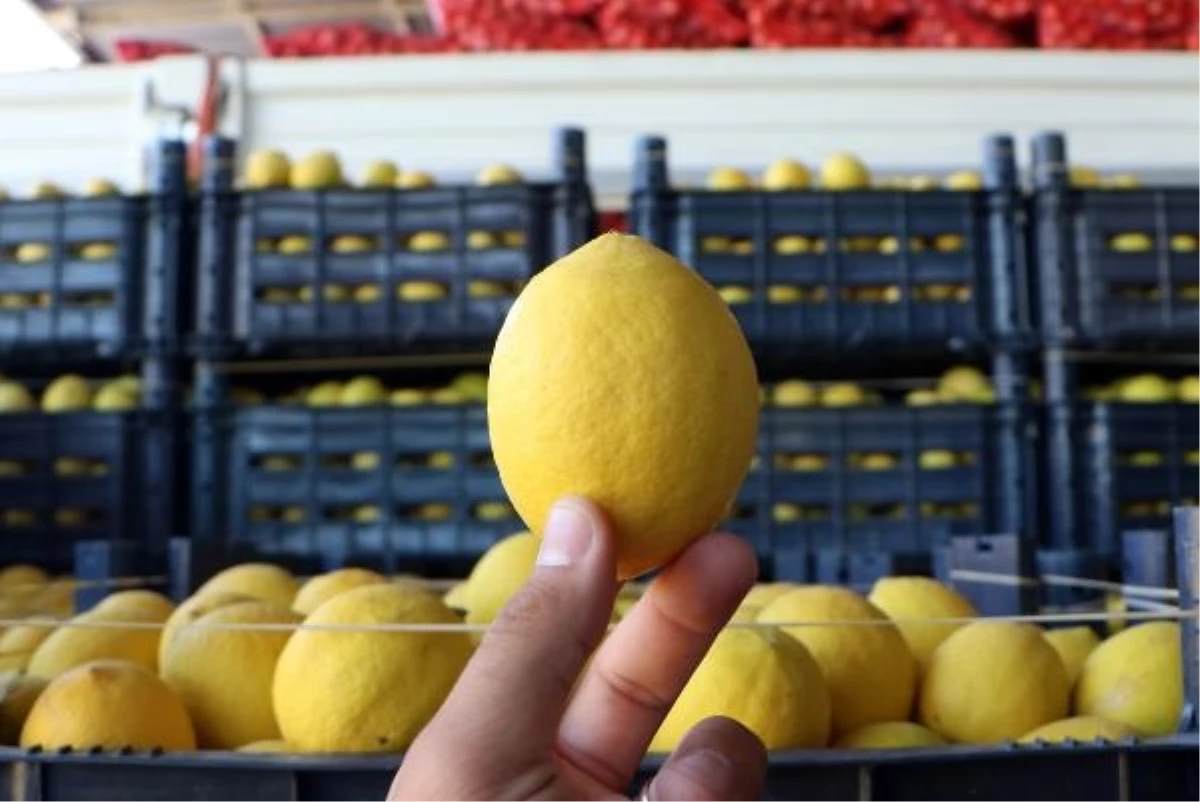 Adana\'da Limon Fiyatları Uçtu: Bahçede 3, Markette 24 Lira