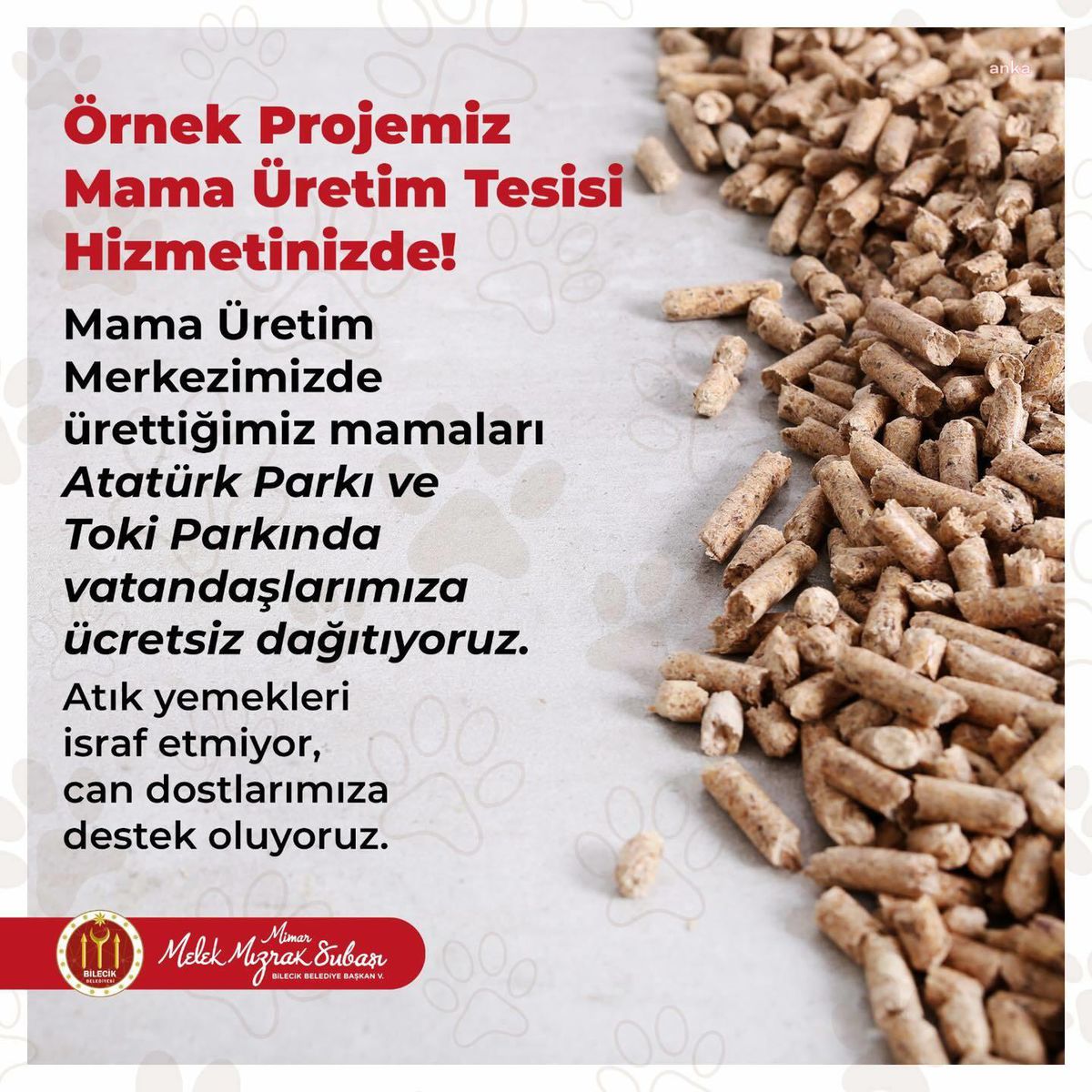 Bilecik Belediyesi Sokak Hayvanları İçin Atık Yiyecekleri Mama Yapıyor