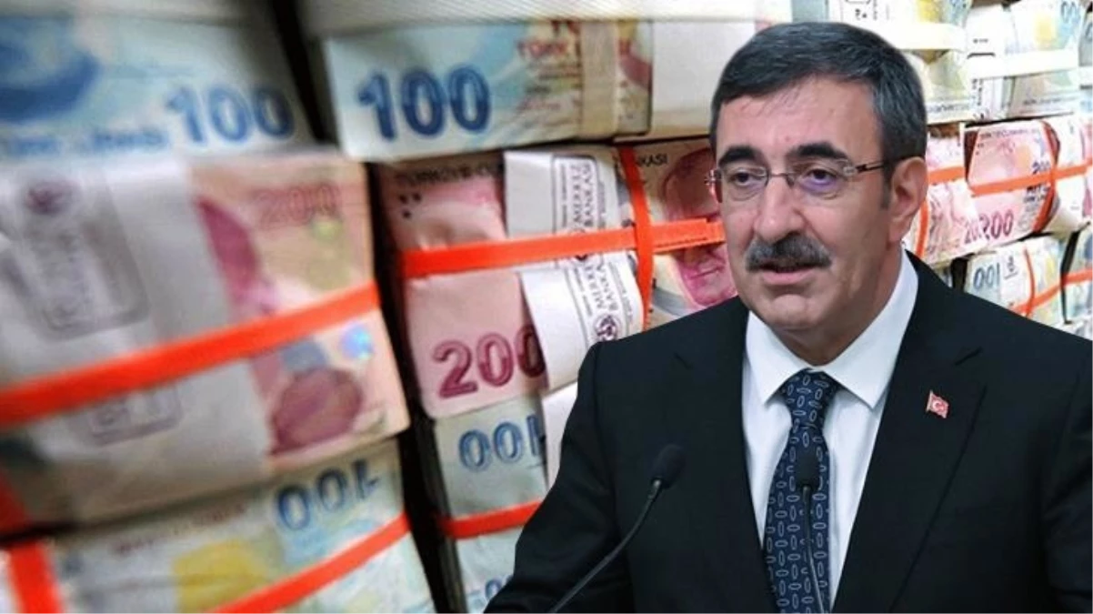 Cumhurbaşkanı Yardımcısı Cevdet Yılmaz: Gelir seviyesine göre vergilendirme öngörüyoruz