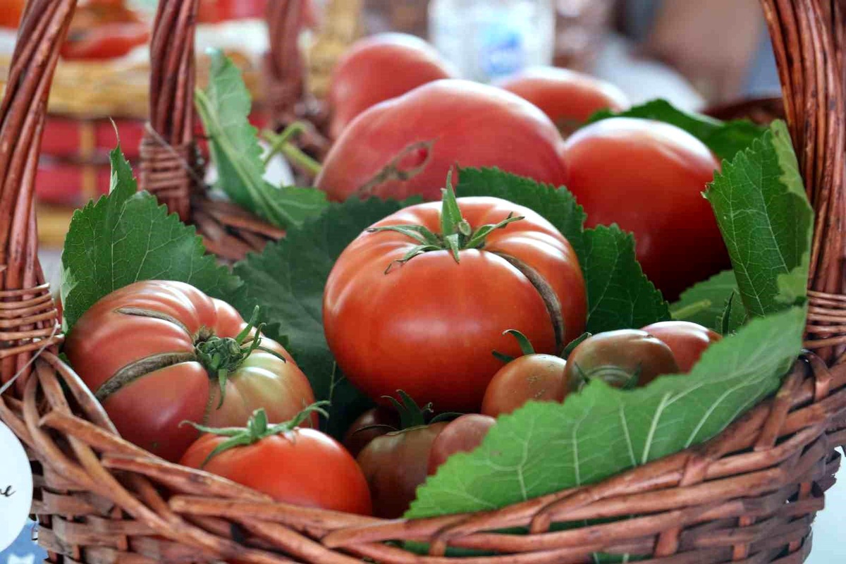 Agrotec 26. Uluslararası Tarım Fuarı\'nda En Lezzetli Domates ve Höşmerim Yarışması Düzenlendi
