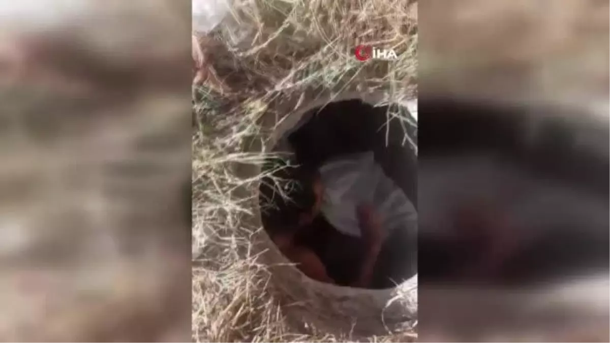 Esenyurt\'ta rögardan mülteci çıktı