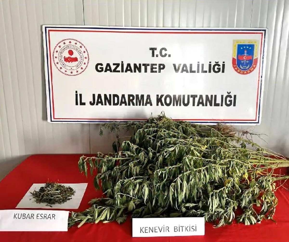 Gaziantep\'te Kaçakçılık Operasyonları: 295 Şüpheli Yakalandı