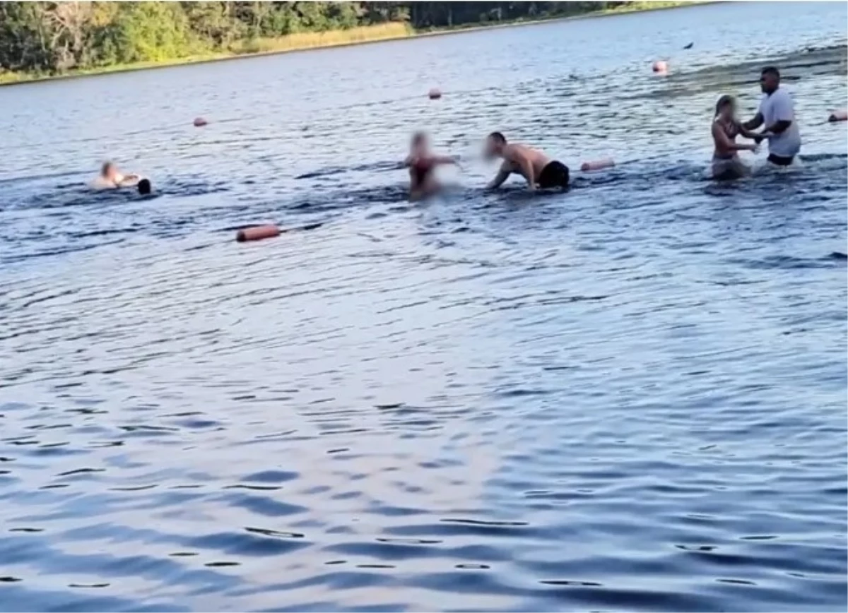 Gölde yüzen çocuklara timsah saldırdı, aileler çocuklarını zor kurtardı