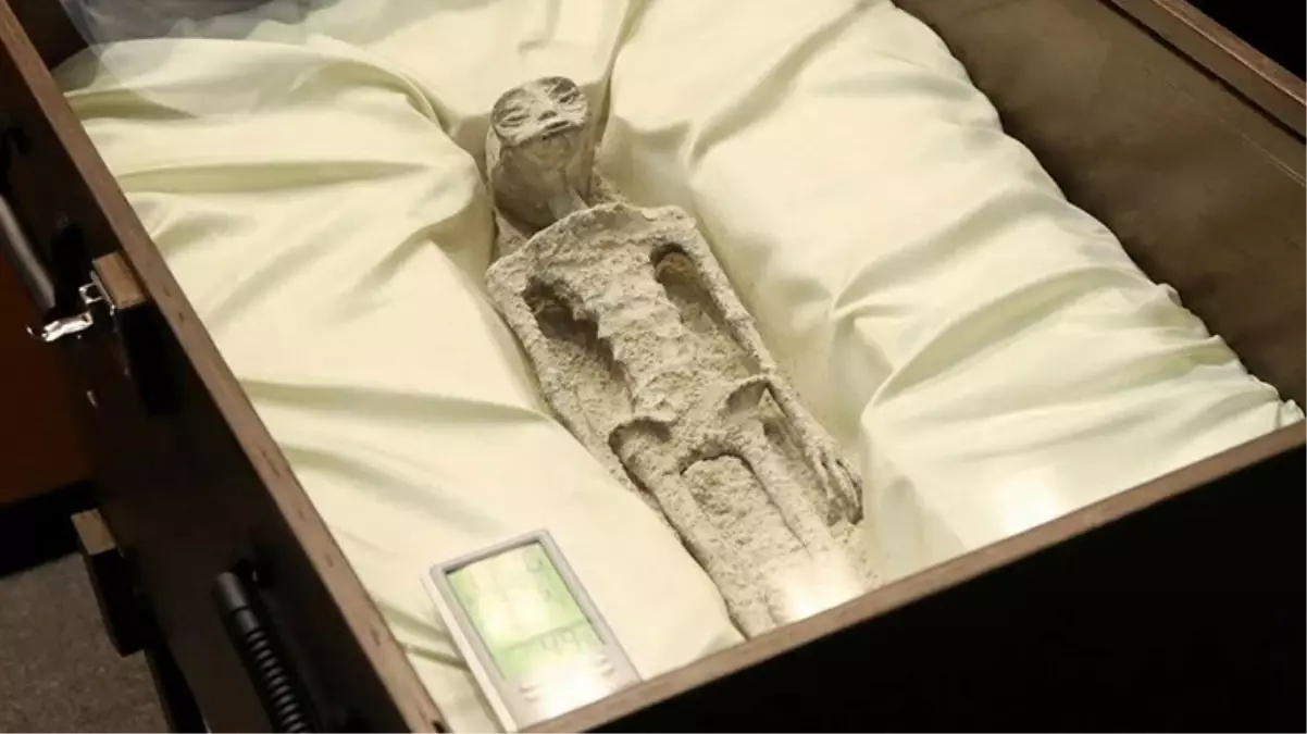 Meksika\'nın bulduğunu öne sürdüğü UFO fosili \'\'pasta\'\' çıktı iddiası