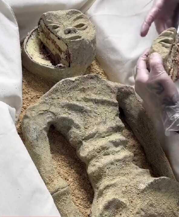 İddia akıl dışı! Meksika'nın bulduğu UFO fosili 'pasta' çıktı