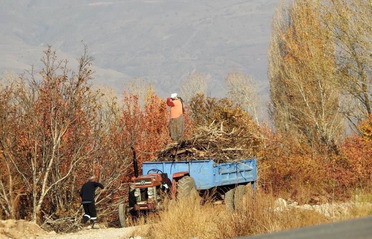 Erzincan\'da Vatandaşlar Kışlık Yakacak İhtiyaçlarını Karşılıyor