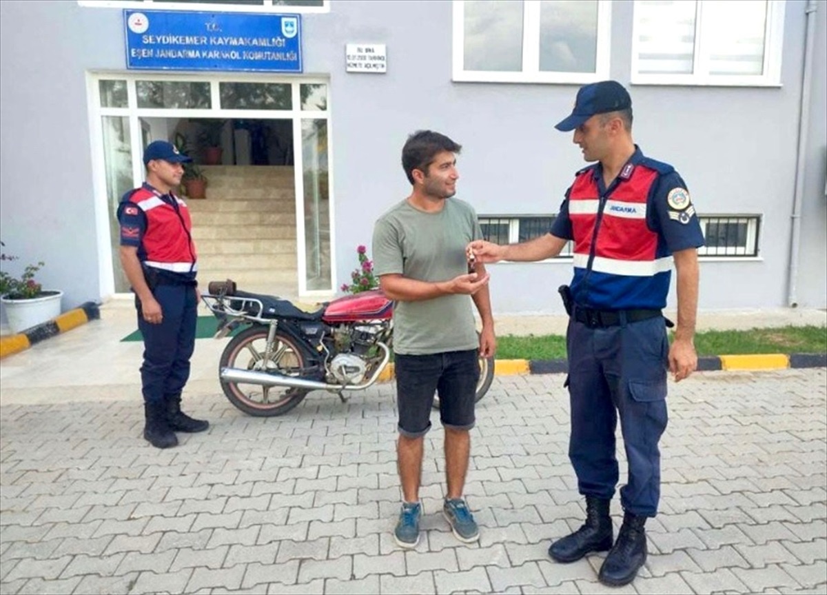 Muğla\'da düzenlenen operasyonda 4 hırsızlık şüphelisi yakalandı