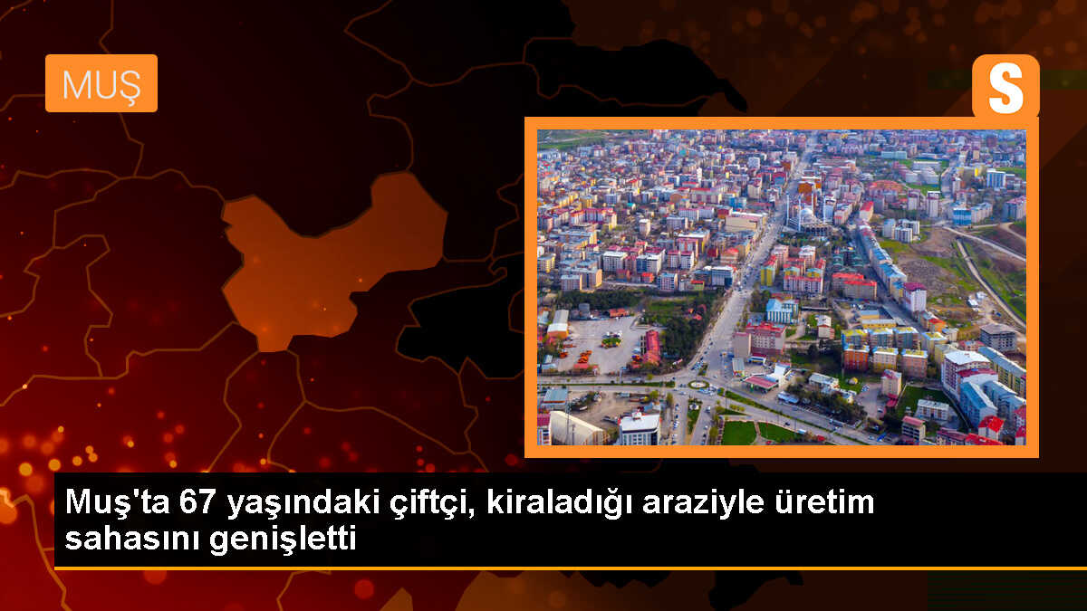 Muş\'ta çiftçi kendi arazilerinin yanı sıra kiraladığı arazilerde de üretim yapıyor
