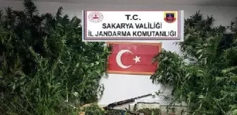 Sakarya'da Uyuşturucu Operasyonunda 6 Şüpheli Gözaltına Alındı