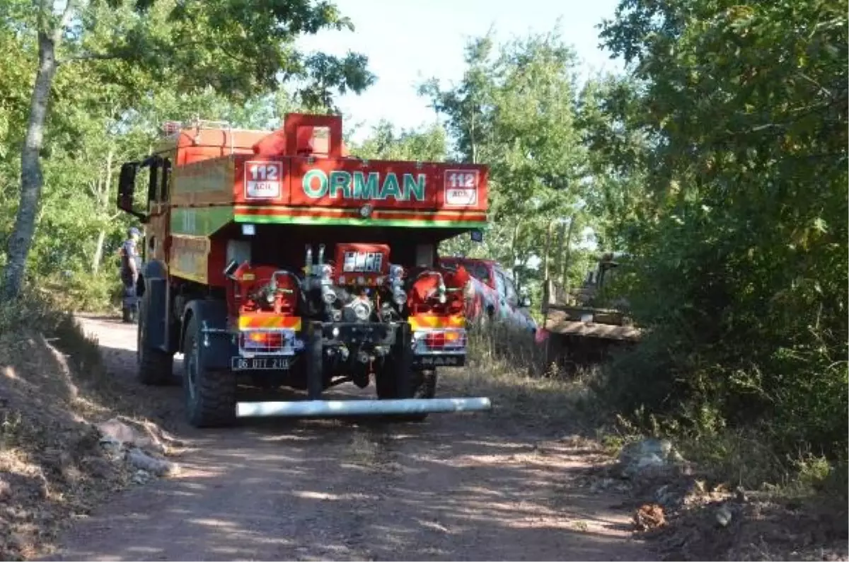 Adapazarı'nda çıkan orman yangını kontrol altına alındı