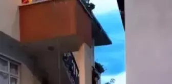 Gelin Alma Merasiminde Tabancayla Ateş Eden Şahıs Gözaltına Alındı