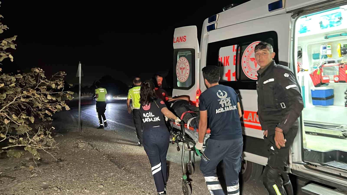 Düzce\'de Trafik Tabelasına Çarpan Motosiklet Fındık Bahçesine Uçtu