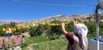 Tunceli'de Vatandaşlar Sebzelerini Kurutarak Kış Hazırlığı Yapıyor