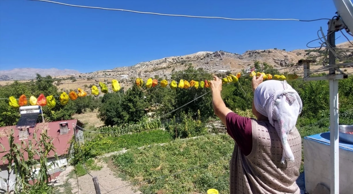 Tunceli\'de Vatandaşlar Sebzelerini Kurutarak Kış Hazırlığı Yapıyor