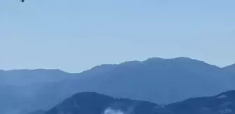 Adana'da orman yangını