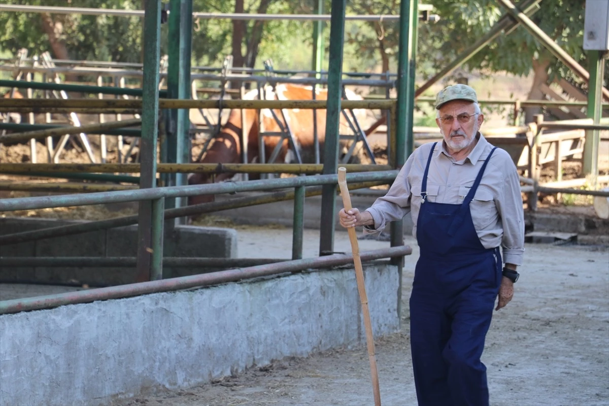 Adana\'da Tarım ve Orman Bakanlığından destek alan girişimci hayvancılık sektörüne katkı sağlıyor