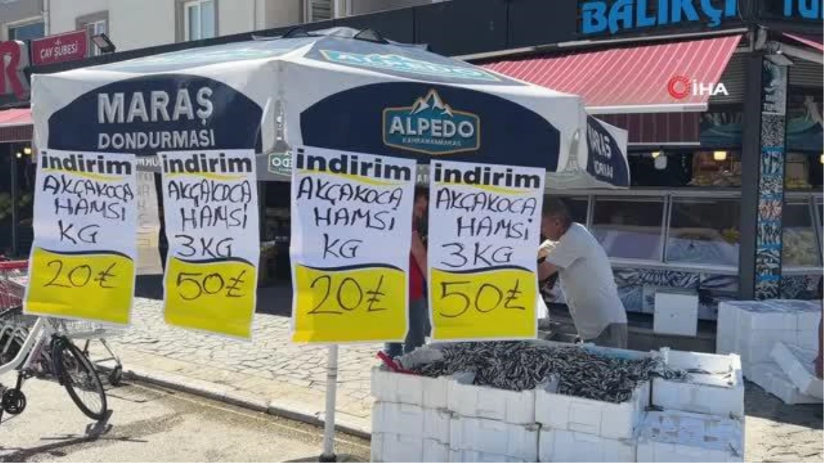 Karadeniz\'de Hamsi Fışkırıyor: Düzce\'de Hamsi Fiyatları Düştü