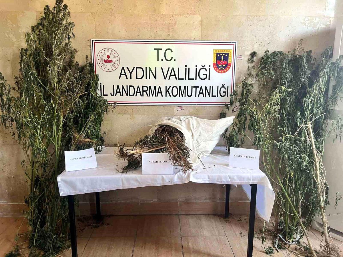 Aydın\'da Uyuşturucu Operasyonu: 2 Kilo Uyuşturucu ve 25 Kök Hint Keneviri Ele Geçirildi