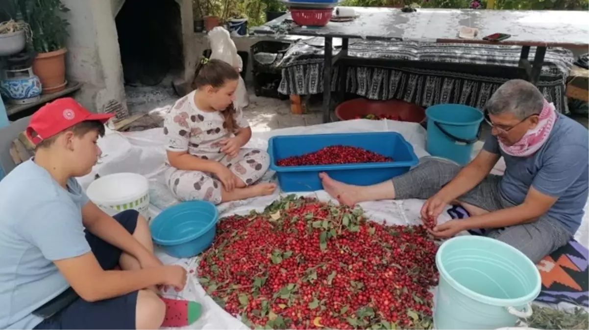 Kızılcık üretimi düştü, fiyat 50 TL\'ye yükseldi 